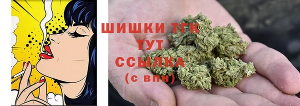 индика Вязьма