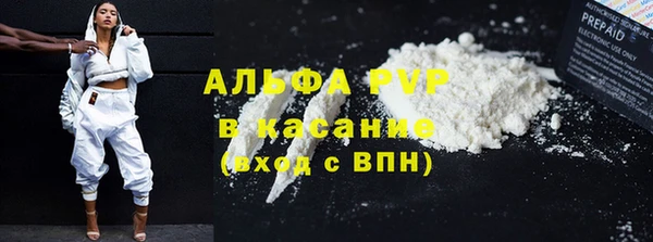 индика Вязьма