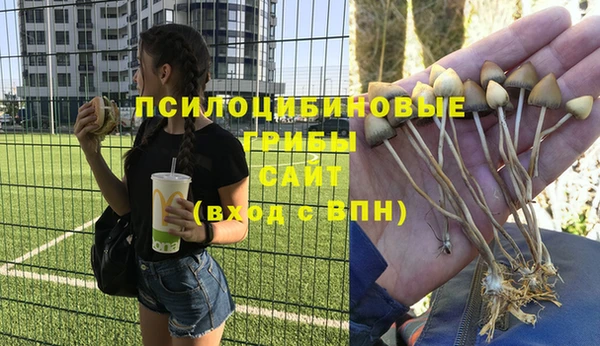 мяу мяу кристалл Карпинск