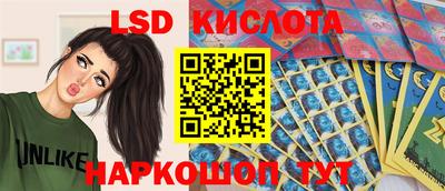 гидра Донецк