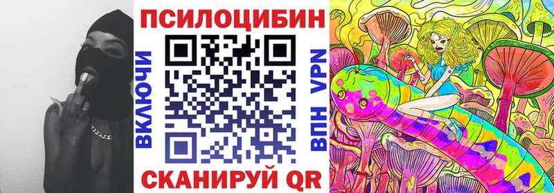 darknet официальный сайт  Реутов  Псилоцибиновые грибы мицелий 