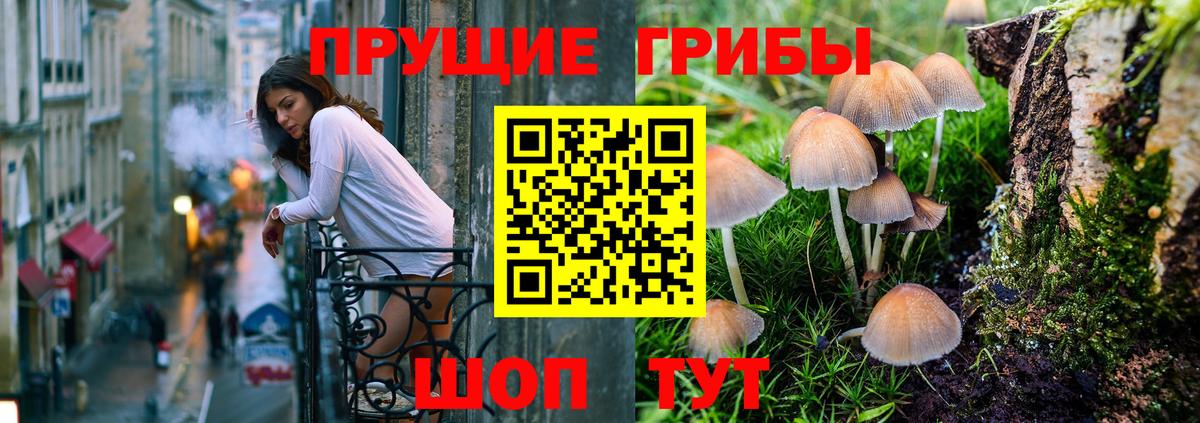Реутов  Галлюциногенные грибы Magic Shrooms  Вход с VPN 